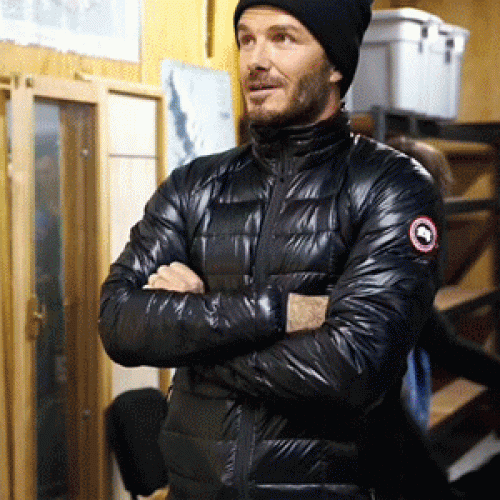 カナダグースパディングジャケットG020