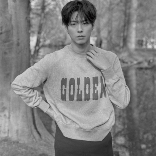 ゴールデングーススウェットシャツl11