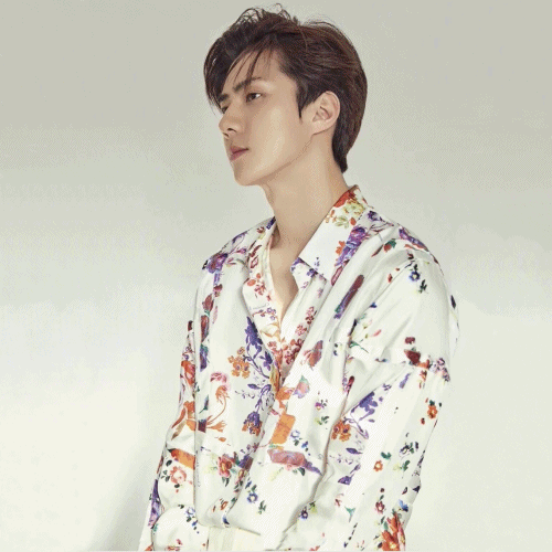 ディオールメンズ花エンブロイダードシルクシャツo01982(ブラック/ホワイト)