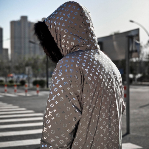 ルイヴィトンメンズカジュアルダウンジャケットu01380シルバー