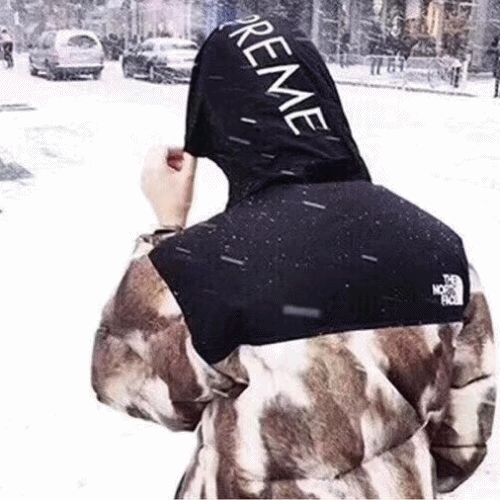 ザノースフェイスメンズダウンパディングr0112ブラウン