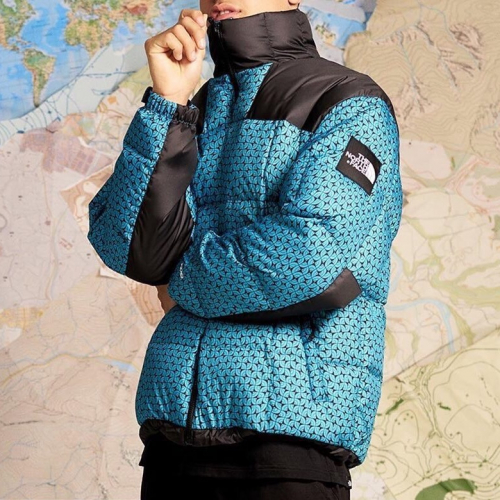 ザノースフェイスメンズダックダウンパディングパーカーr0126ブルー