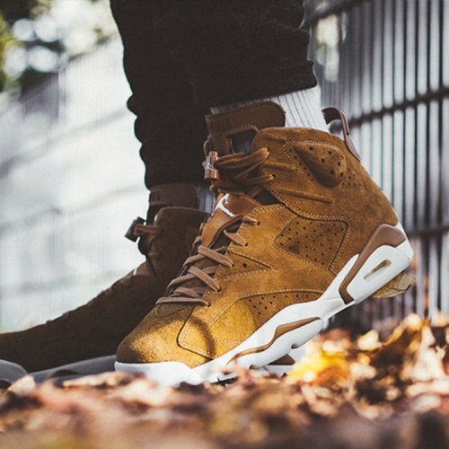 6ジョーダン6メンズランニングシューズ,S0125,,ブラウン