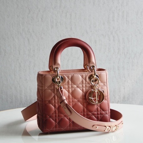 ディオールレディースピンクレディバッグo01805