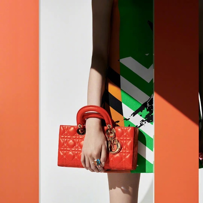 ディオールレディースオレンジ-レディバッグo01907