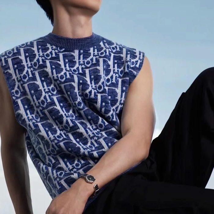 ディオールメンズブルーベストc28