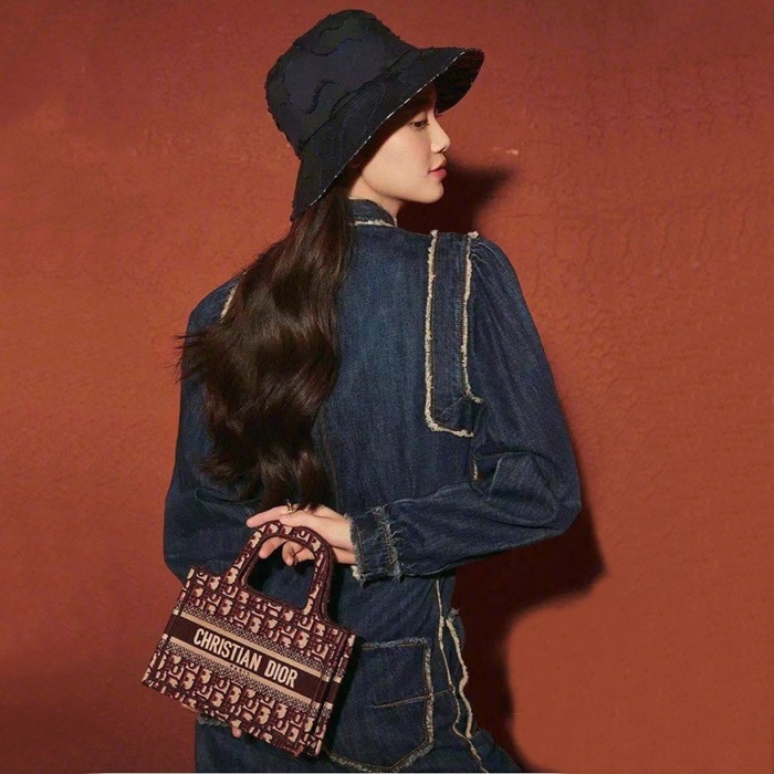 ディオールレディースバーガンディミニブックトートバッグb611