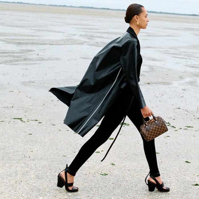 ルイヴィトンレディーススピーディ20ダミエM4048920b1830