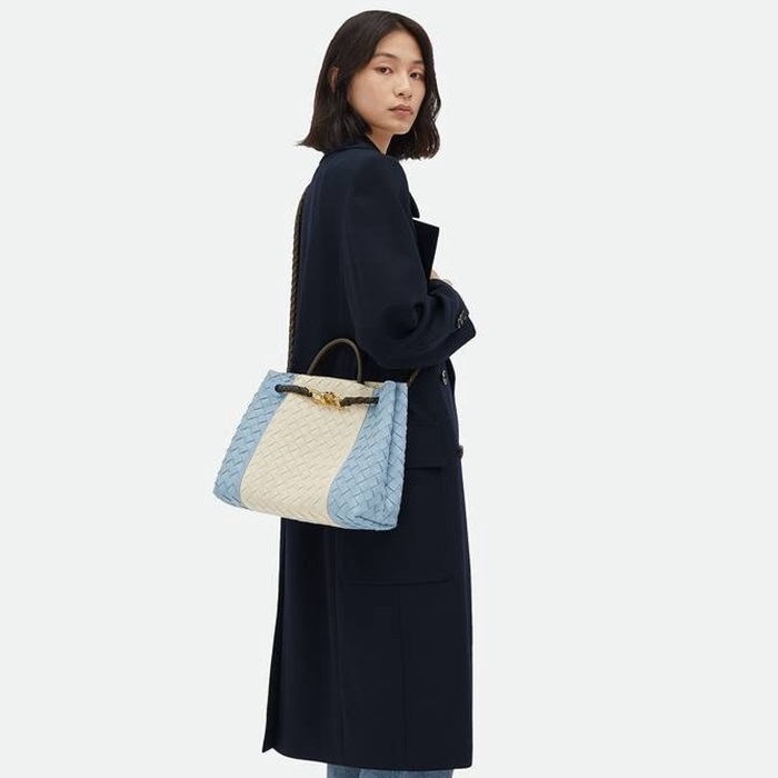 ボッテガヴェネタレディースツートンアンディアーモb2359