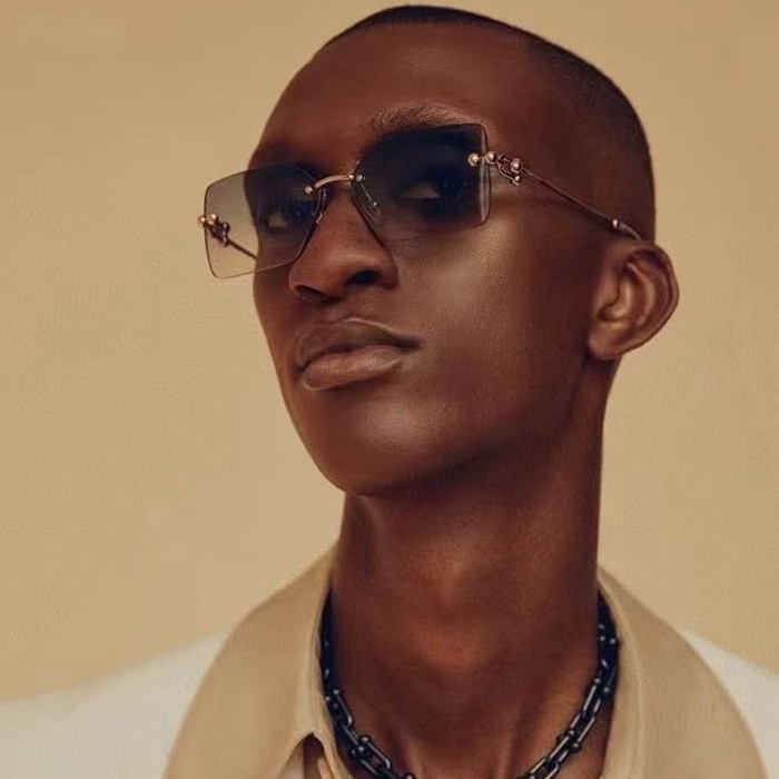 ティファニーアンドコーメンズプレミアムメタルフレームサングラスc3085