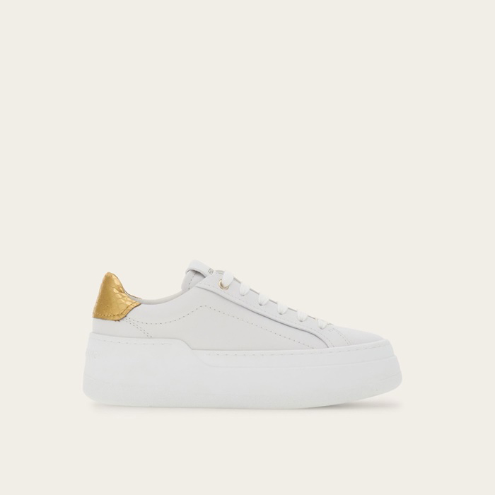 サルヴァトーレフェラガモレディースベーシックスニーカーs3091