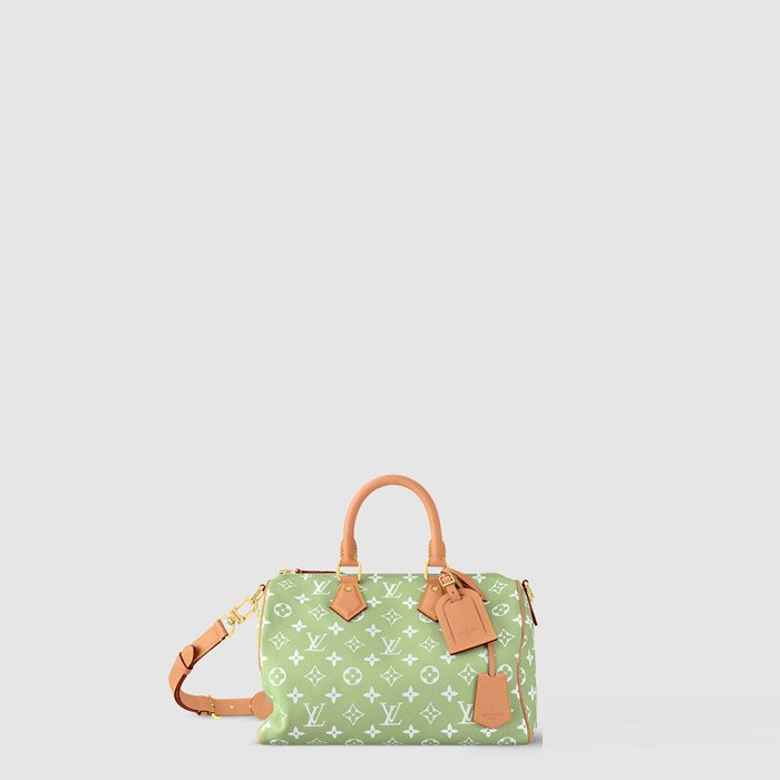 ルイヴィトンメンズスピーディP9バンドリエール30M14064P930b5371