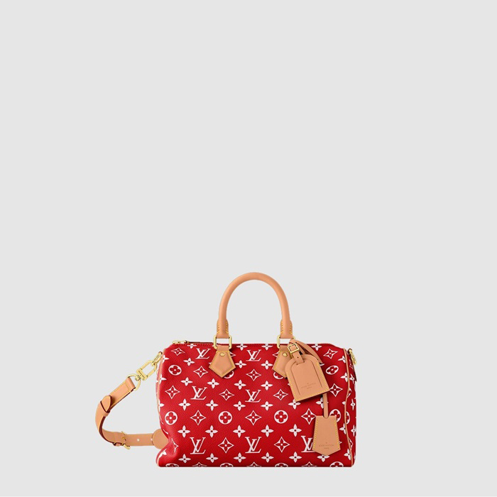 ルイヴィトンメンズスピーディP9バンドリエール30M14067P930b7969