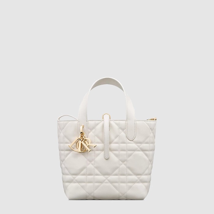 ディオールレディーストゥジュールスモールヴァーティカルトートバッグb11865