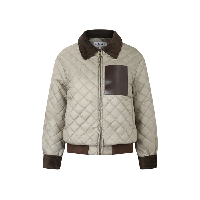 ロエベレディースダウンジャケットc9740