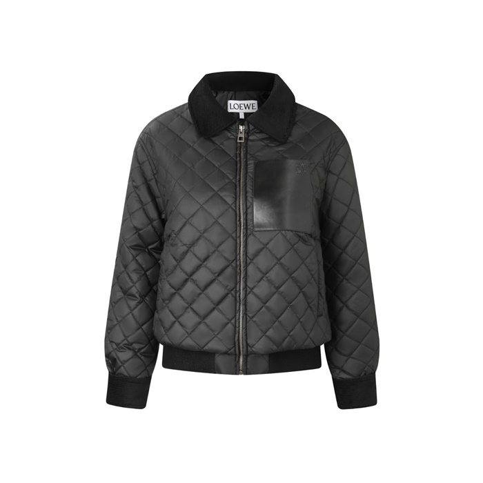 ロエベレディースダウンジャケットc9741