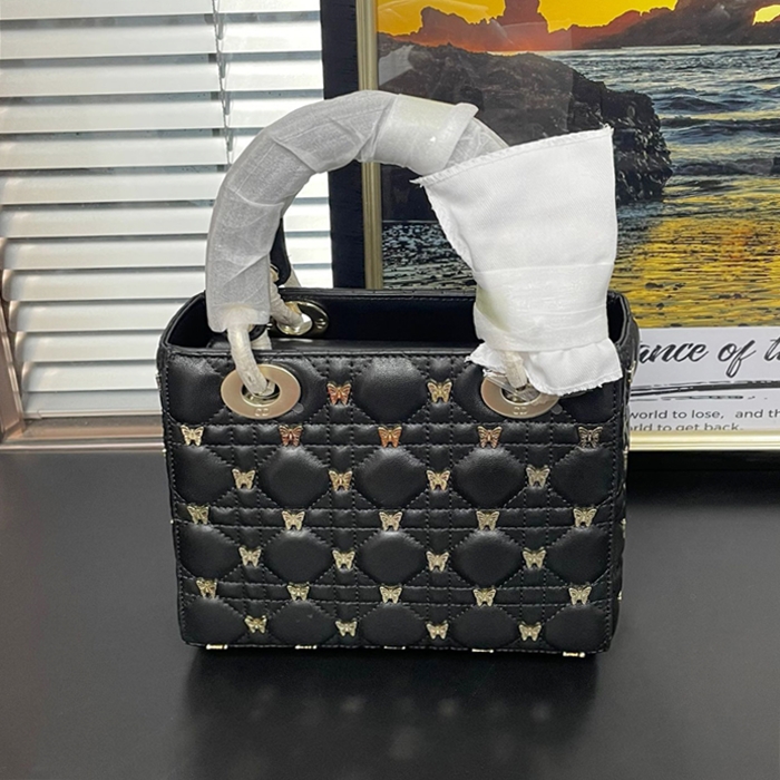 ディオール レディース ブラック レディバッグ -   Lady - dib421x