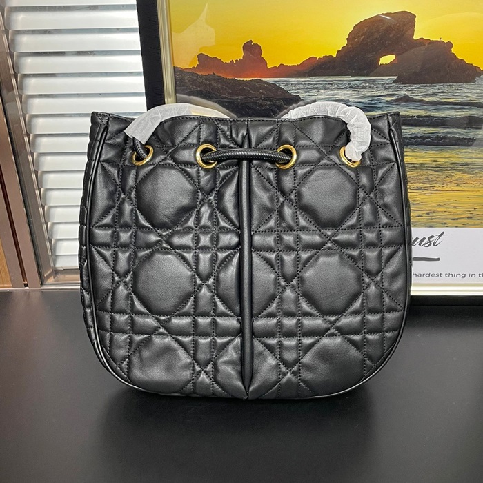 ディオール レディース ノリタ ミディアム バッグ M2312 -   Nolita  - dib2020x