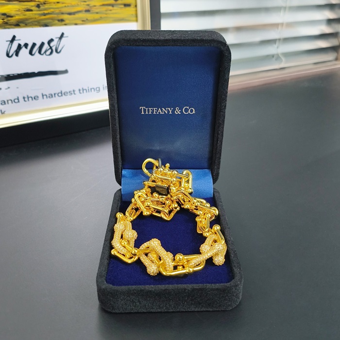 ティファニー レディース  リンク ネックレス -   - acc4517x