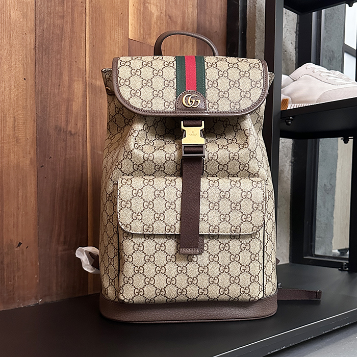 グッチ メンズ オフィディア スモール バックパック - Small - gub9227x