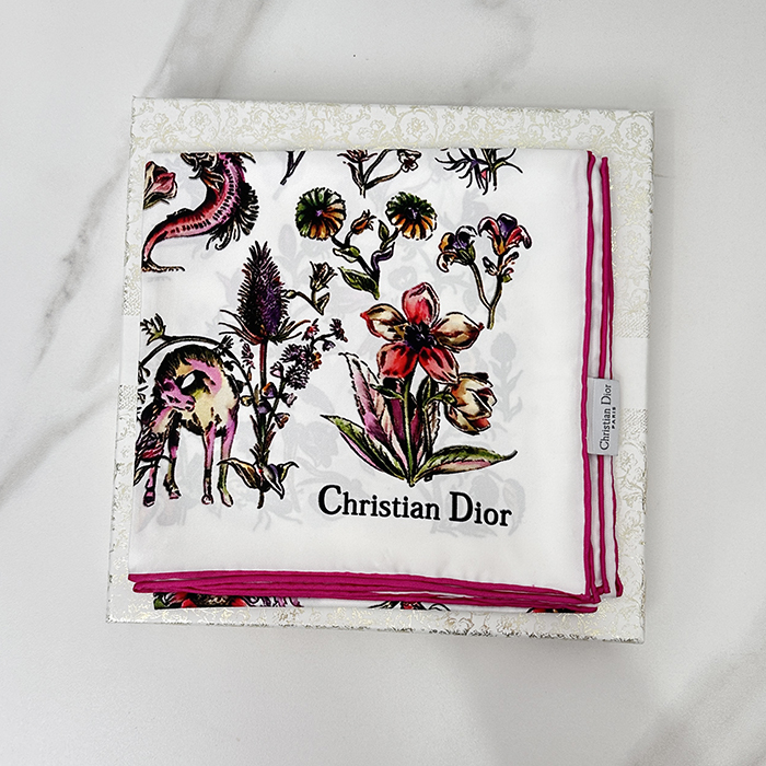 ディオール レディース シルク スカーフ -   Silk - acc3981x